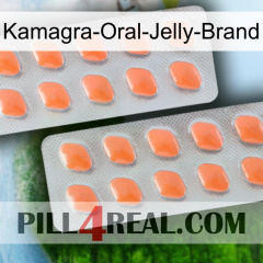 Kamagra-Oral-Jelly-Brand 27